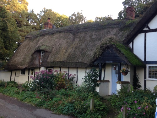 Thatched roof cottage in Aspley Guise