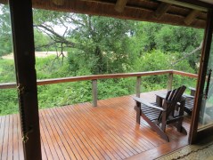 Thornybush