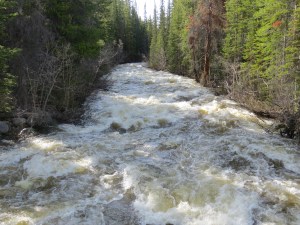 Medicine Bow River
