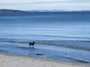 ...she did not know what to do