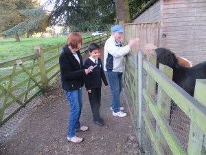 Europe_2014 09 24_1569