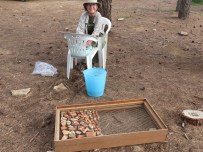 Europe_2014 10 08_1213