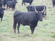 Europe_2014 10 20_0439