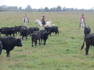 Europe_2014 10 20_0441