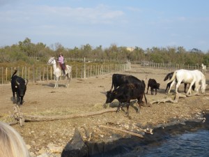 Europe_2014 10 27_0028