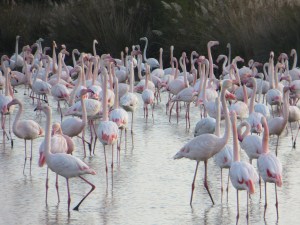 Europe_2014 10 27_0037