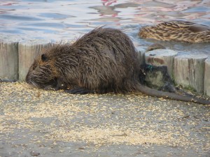 Europe_2014 10 27_0046