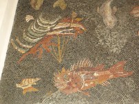 Europe_2014 10 04_1296