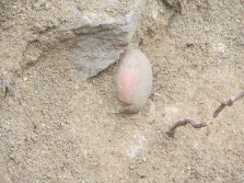 Europe_2014 10 09_1123