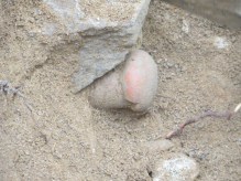 Europe_2014 10 09_1124