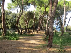 Europe_2014 10 09_1152