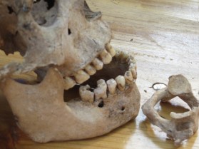 Europe_2014 10 09_1153