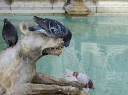 Europe_2014 10 12_0966